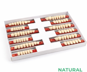 China Denture Teath