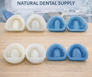 Denture Base Mold