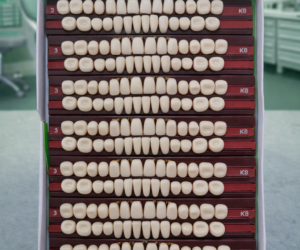 Pakistani Denture Teeth