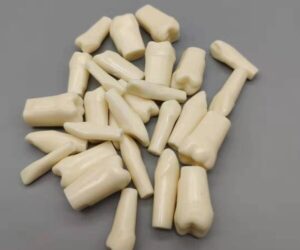 Dental Typodont Resin Simulation Tooth Model