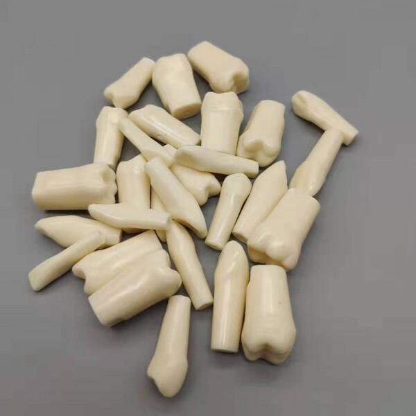 Dental Typodont Resin Simulation Tooth Model