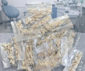 Natural Teeth Set