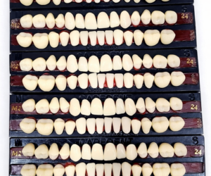 Indian Denture Teath
