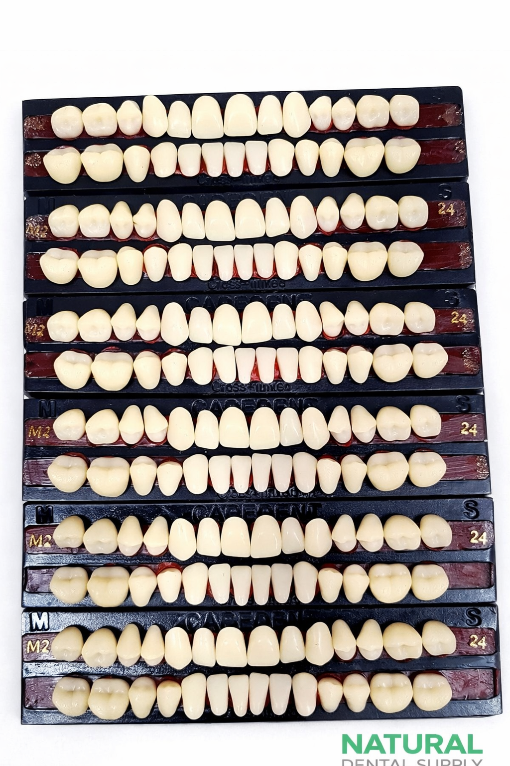 Indian Denture Teath