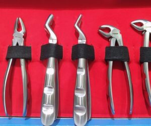 Baby Dental Forceps