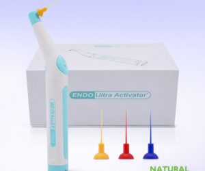 EndoActivator System