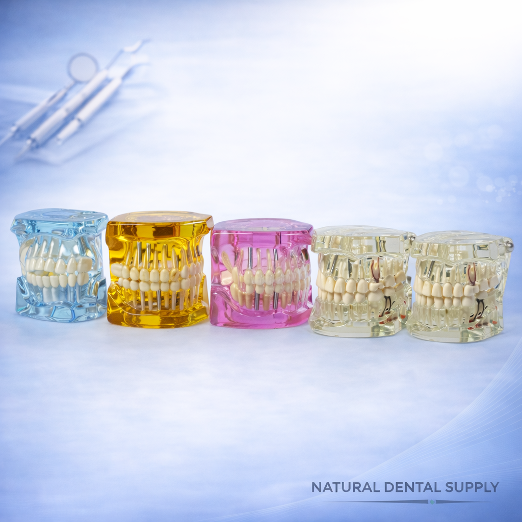 Dental Implant Pathological Tooth Model