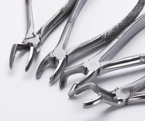 Adult Dental Forceps