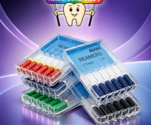 Mani Remer File