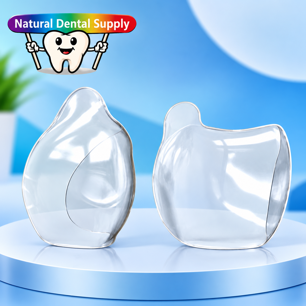 Clear Dental Shells on a Modern Podium